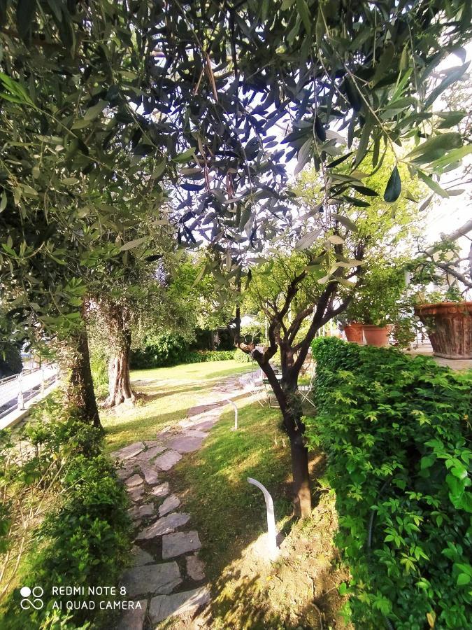 Apartament Pergolato Junior San Remo Zewnętrze zdjęcie