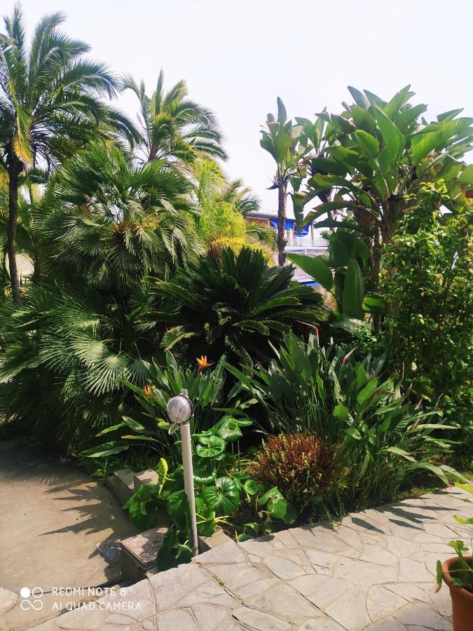 Apartament Pergolato Junior San Remo Zewnętrze zdjęcie