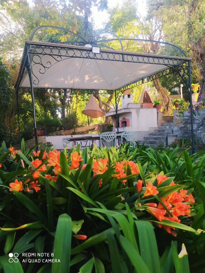 Apartament Pergolato Junior San Remo Zewnętrze zdjęcie